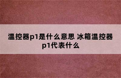 温控器p1是什么意思 冰箱温控器p1代表什么